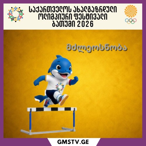 GMSTV.GE (5)